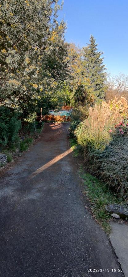 B&B En Plein Coeur De La Foret Artiguelouve Luaran gambar